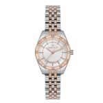 قیمت ساعت اصل زنانه دنیل کلین مدل DANIEL KLEIN DK.1.13706-5