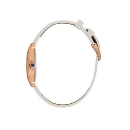 قیمت ساعت دنیل کلین اورجینال DK.1.13937-6