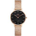 ساعت دنیل ولینگتون زنانه گرد DW00100591